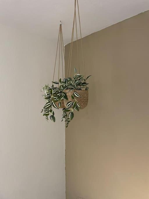 Almond Home Livadia  외부 사진